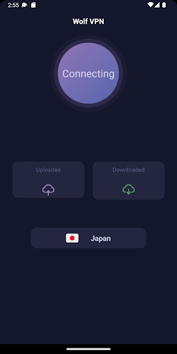 Wolf VPN Screen 3
