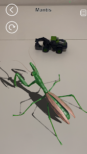 AR Insects