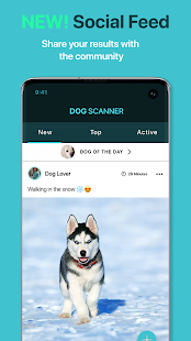 Dog Scanner: Breed Recognition Screenshot