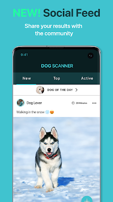 Dog Scanner: 犬種の識別のおすすめ画像4