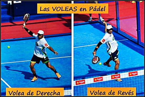 Learn to play paddle. Free Pad