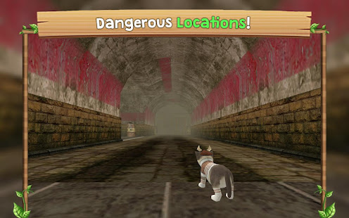 Cat Sim Online: Play with Cats screenshots 6