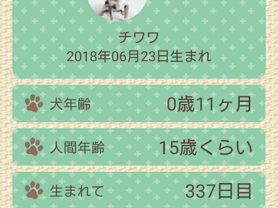[最も選択された] チワワ 人間 年齢 108692-チワワ 人間 年齢