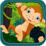 Black Berry Monkey icon