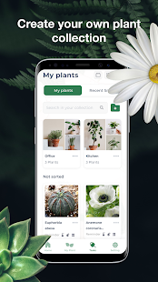LeafSnap Plant Identification  Screenshots 5