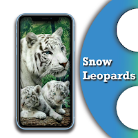 Themes of Snow Leopard Snow L