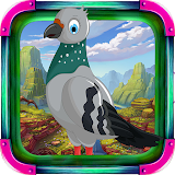 Cheerful Pigeon Escape icon