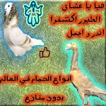 Cover Image of Télécharger يا عشاق الطيور اكتشفوا اندر و  APK