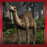 3D Camel Hill Climb icon