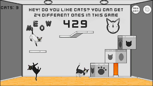 24 Cats Screen 2