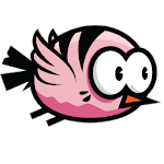 Cover Image of Download Help Bird Fly  APK