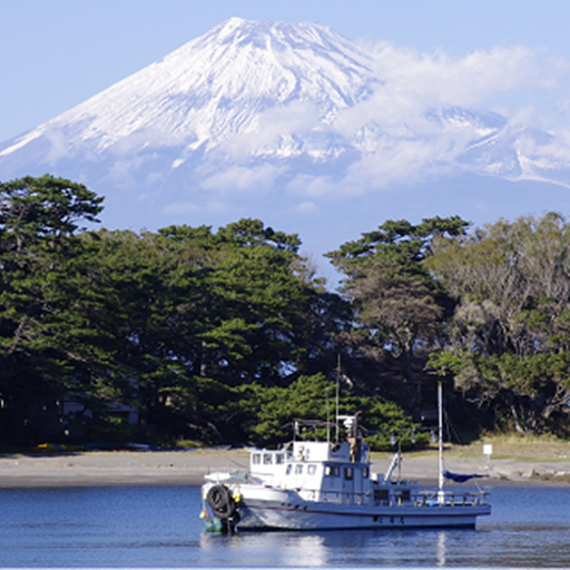 PUZZLE15.Mt.Fuji logo