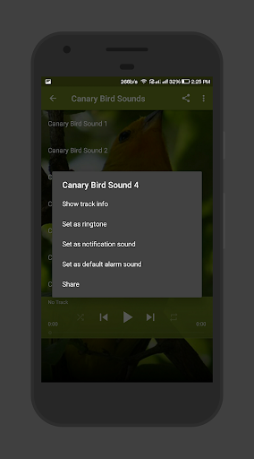 Canary Bird Sounds Screen 3