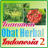 Tanaman Obat Herbal 2 icon