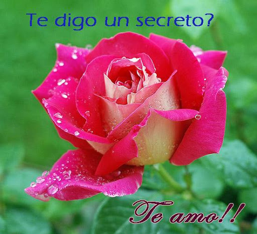 Te Amo Amor - Frases Screen 3