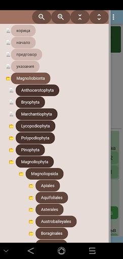Key vascular plants Screen 2