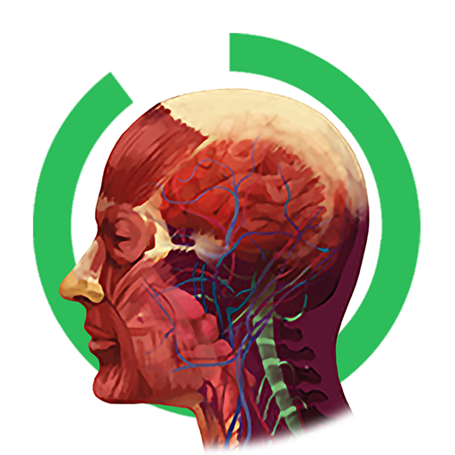 Arloon Anatomy AR Laai af op Windows