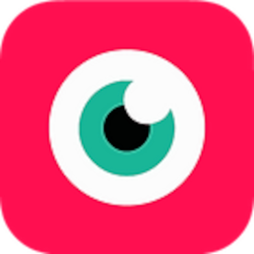 NDI Camera logo
