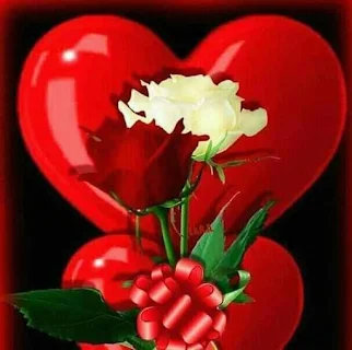 Flowers Bouquets GIF