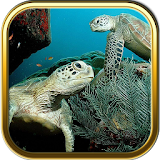 Ocean Turtles Puzzle Games icon