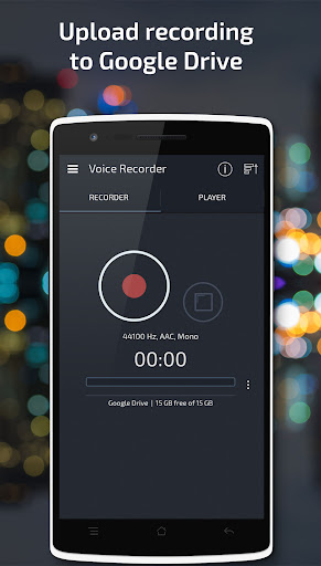 Voice Recorder Screen 3