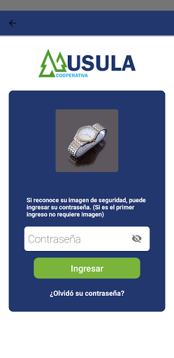 Usula Móvil Screen 2