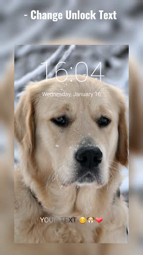 Labrador Lock Screen Screen 3