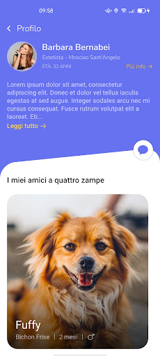 Doggo Screen 3