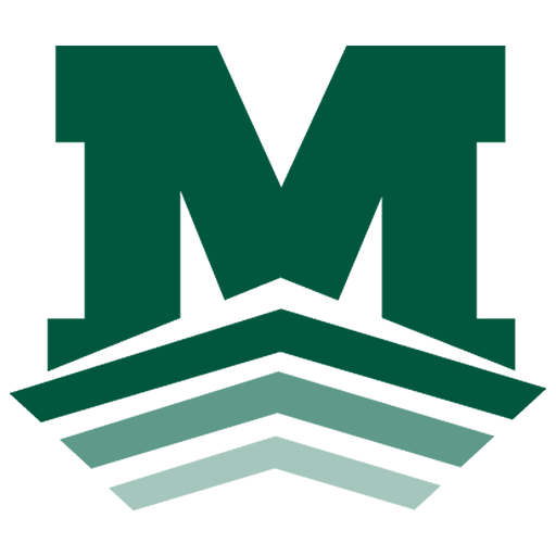 Owl Strong Network logo