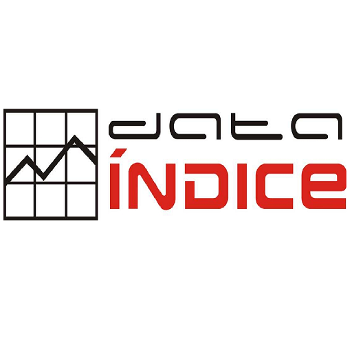 Data Índice logo