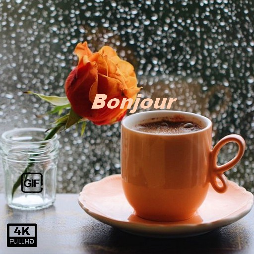 Bonjour Bonsoir GIF Images2023 Download on Windows