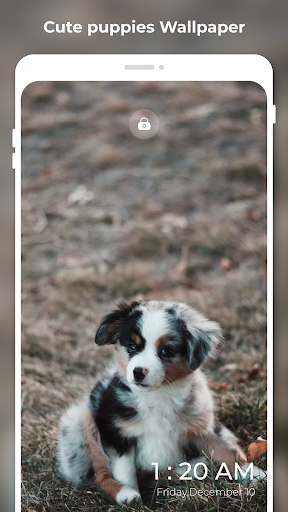 PupPic Cute Puppy Wallpaper