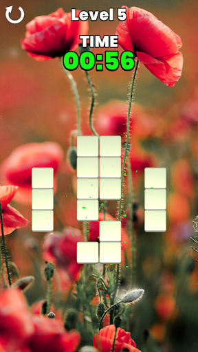 Memory Match Screen 3