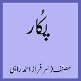 Pukaar - Urdu Novel icon