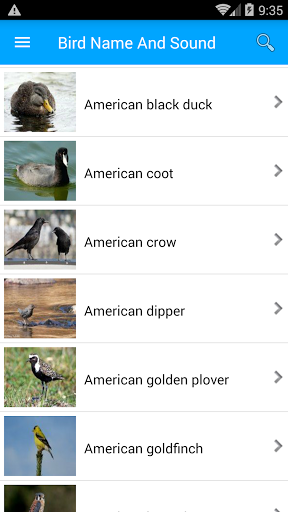 Bird Name And Sound Screen 3
