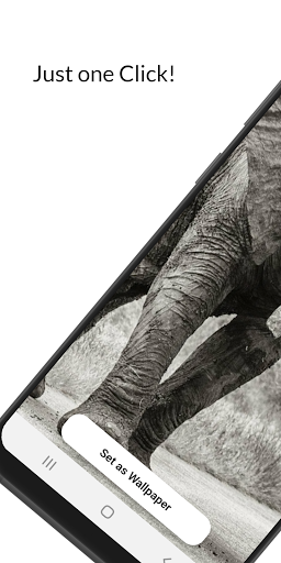 Wallpapers Bofogo themes 8K