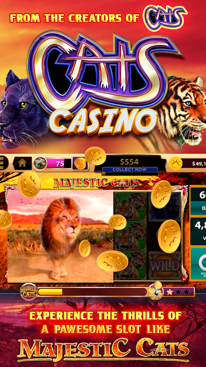CATS Casino – Real Hit Slot Ma - 3.0.5 - (Android)