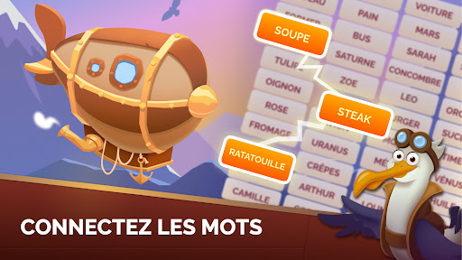 Aperçu de l'application