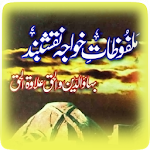 Cover Image of Download Golden Words of Hazrat Bahaudd  APK