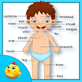 Baby Learning Human Body Parts icon