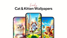 Cat & Kitten Wallpaper 4K - HDのおすすめ画像1