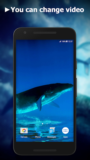 Blue Whale Video Wallpapers Screen 2