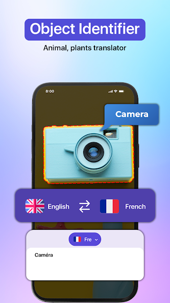 Language Translator, Translate