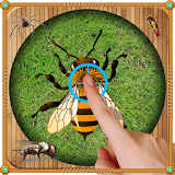 Real Insects Smasher 3D icon