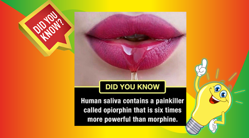 Human Body facts : Amazing Fac Screen 3