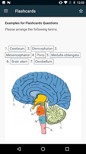 SN Flashcards Screen 2