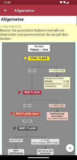 Red Flags screenshot 2