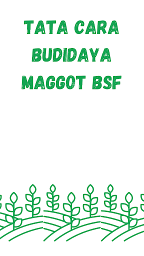 Cara Usaha Budidaya Maggot Screen 3