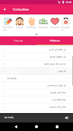 Italian Persian Offline Dictionary & Translator