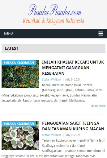 Diet Sehat Alami Wisata dan Budaya Indonesia